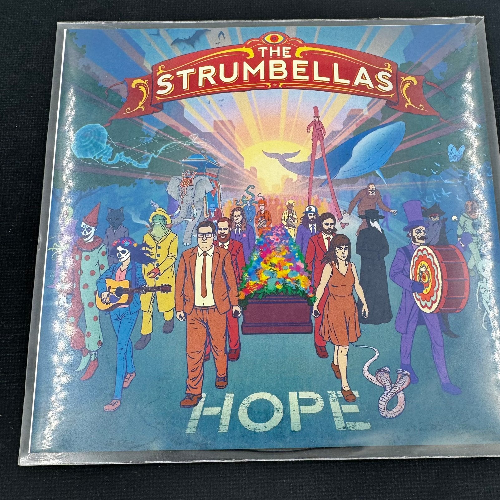 The Strumbellas – Hope - cd, Ophalen of Verzenden, Zo goed als nieuw
