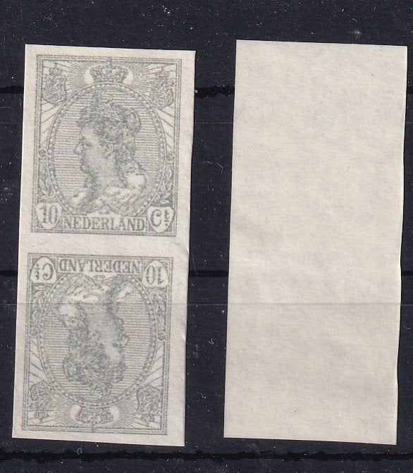 X155A) 1923 ongetand 10 cent tete beche MNH geen garantie, Ophalen of Verzenden, T/m 1940, Postfris