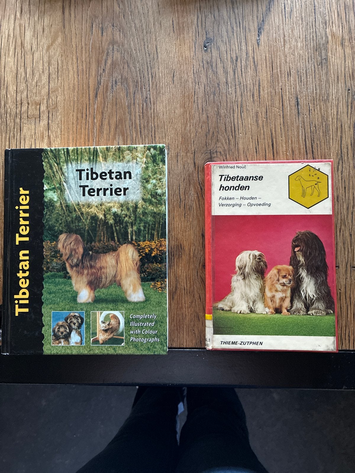 Boeken Tibetaanse Terriër en Tibetaanse honden, Ophalen of Verzenden, Gelezen, Honden