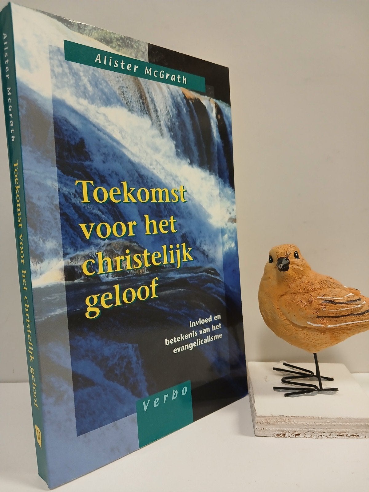 McGrath, Alister; Toekomst voor het christelijk geloof, Ophalen of Verzenden, Gelezen, Christendom | Protestants