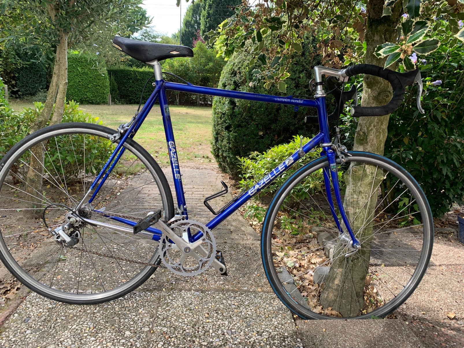 Gazelle Champion Mondial, AA special frame., Ophalen, Zo goed als nieuw