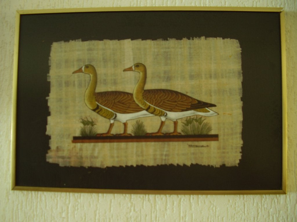 schilderij gans ganzen kunst lijst glas kunstwerk decoratie, Ophalen of Verzenden