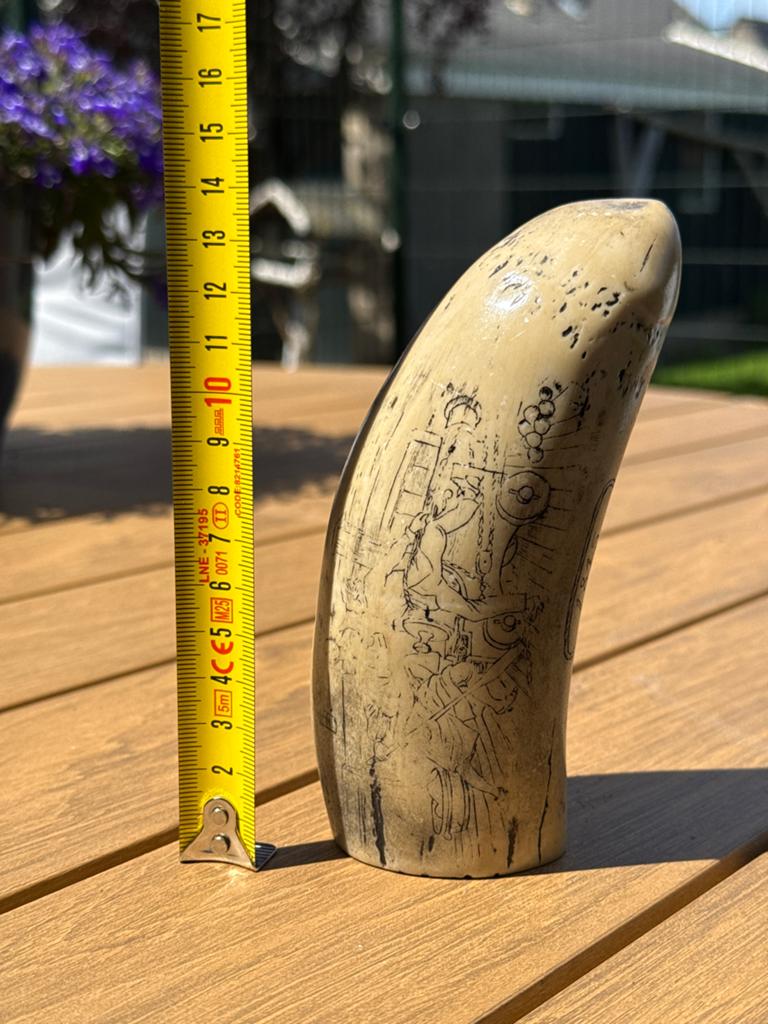 Antieke scrimshaw tand met Napoleon-gravure, Ophalen of Verzenden
