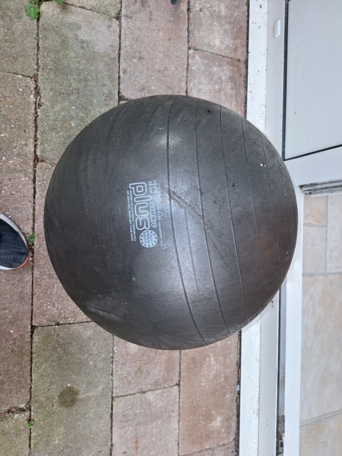 Gymnic Plus Fitnessbal - 55 cm, Ophalen, Gebruikt, Buik, Fitnessbal