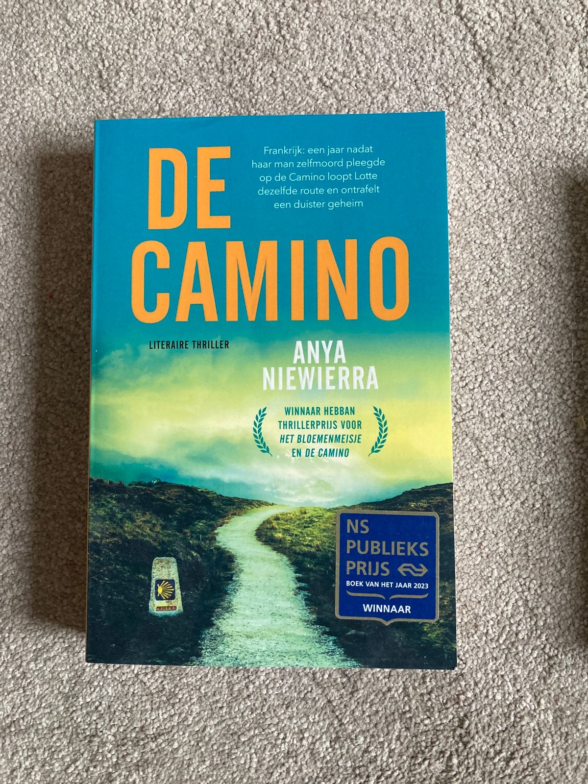 De camino - Anya Niewierra, Boeken, Ophalen of Verzenden, Zo goed als nieuw