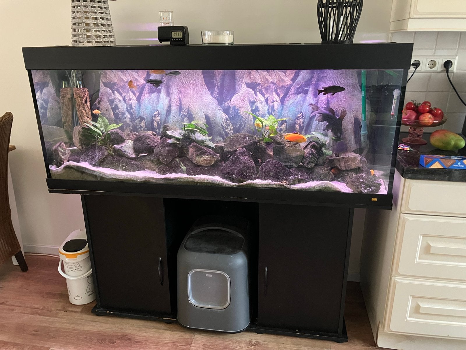 Malawi cichliden, Ophalen, Gebruikt, Gevuld zoetwateraquarium, Verwarming