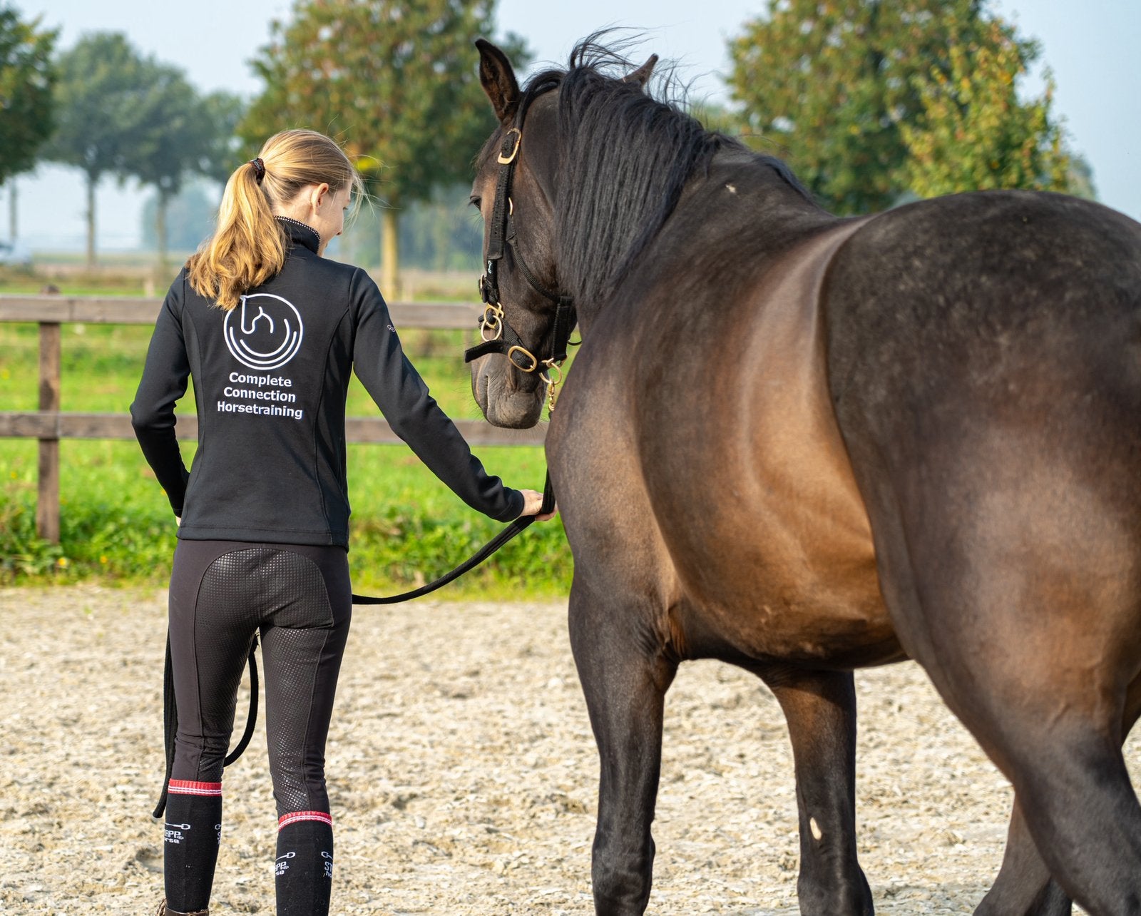 Vakantiestalling voor paard en tegelijk doorgetraind worden, Dieren en Toebehoren, Stalling, 2 of 3 paarden of pony's
