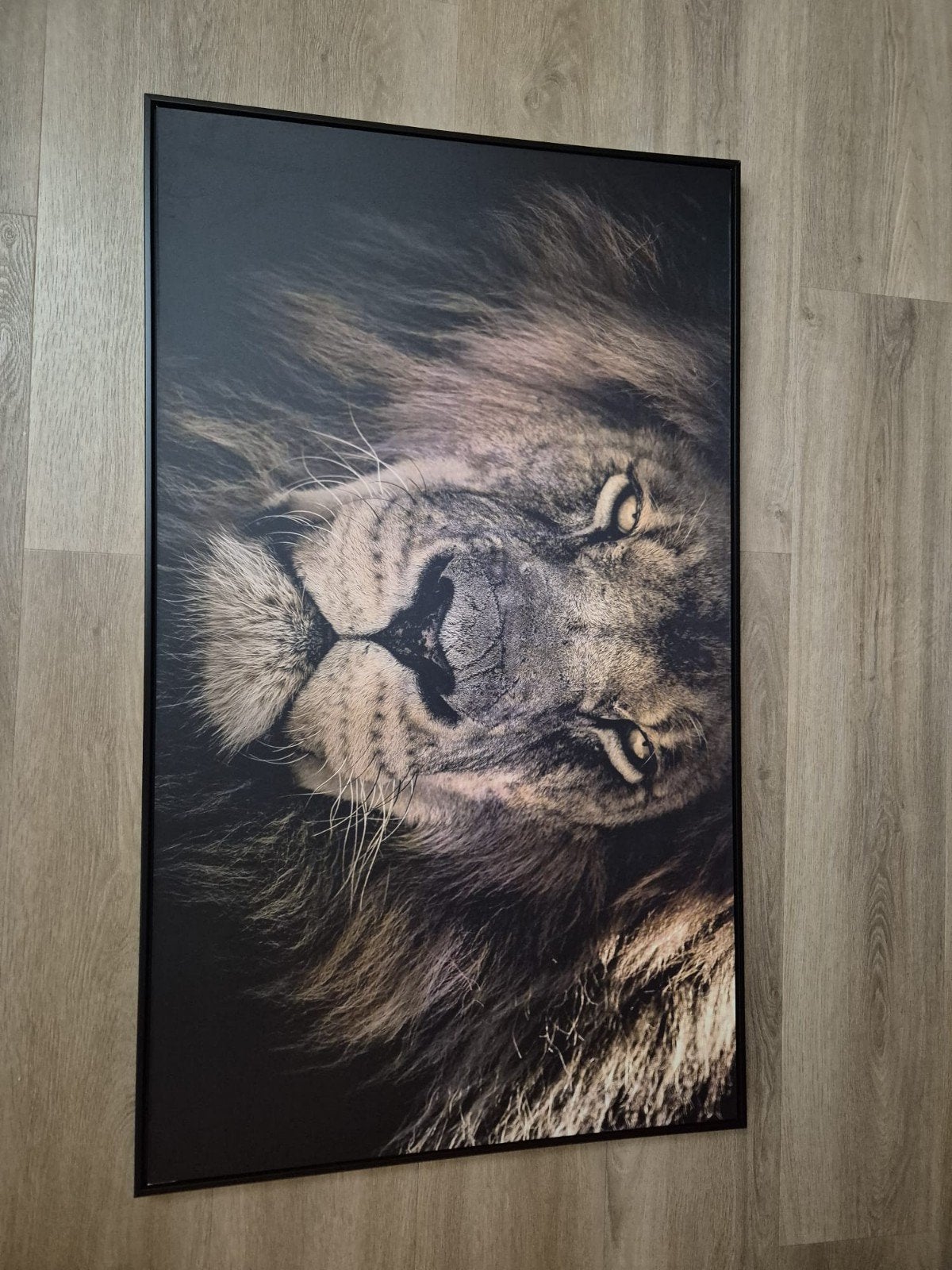 Canvas leeuw, Ophalen of Verzenden