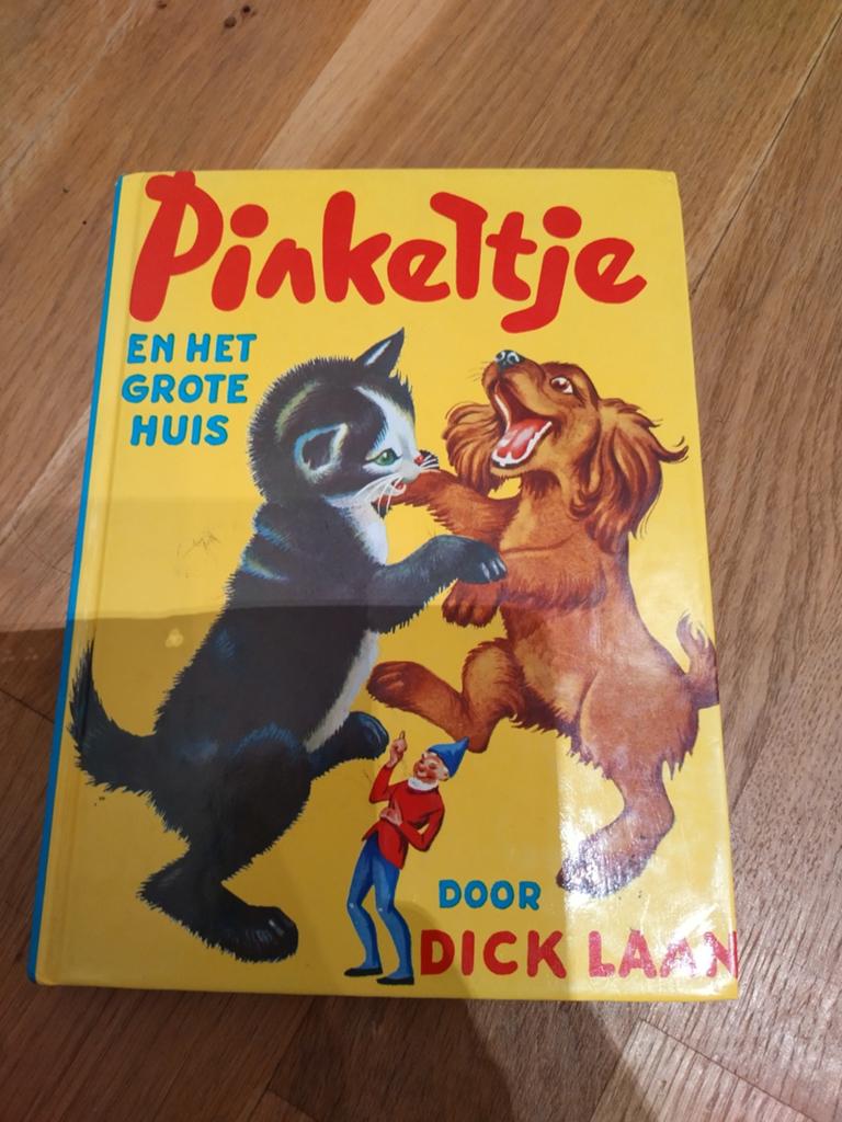 Pinkeltje in het grote huis, Ophalen of Verzenden, 3 tot 4 jaar