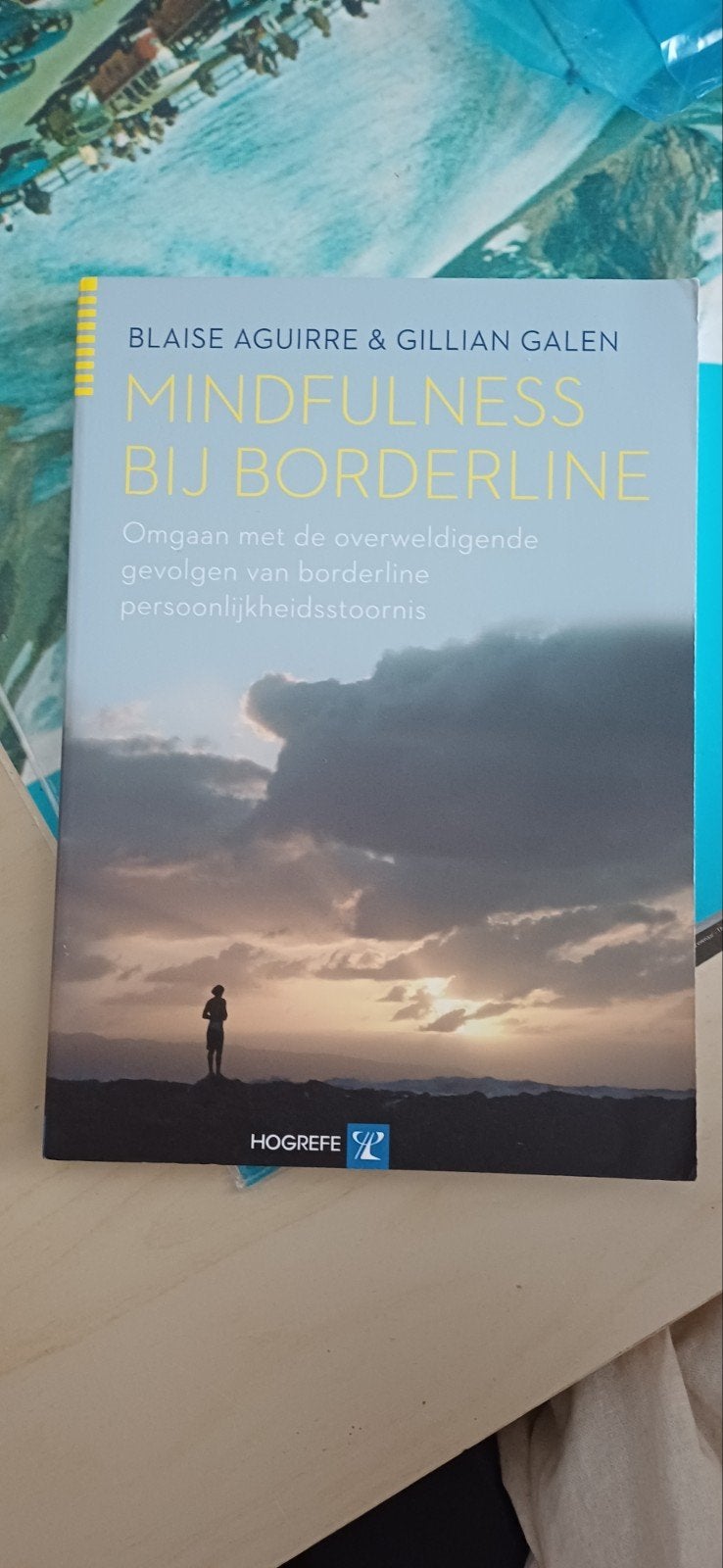 Blaise Aguirre - Mindfulness bij borderline, Boeken, Ophalen of Verzenden, Zo goed als nieuw, Blaise Aguirre; Gillian Galen