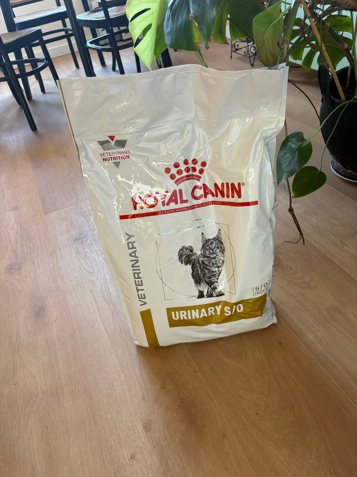 Dichte zak Royal Canin kattenvoer, Ophalen of Verzenden