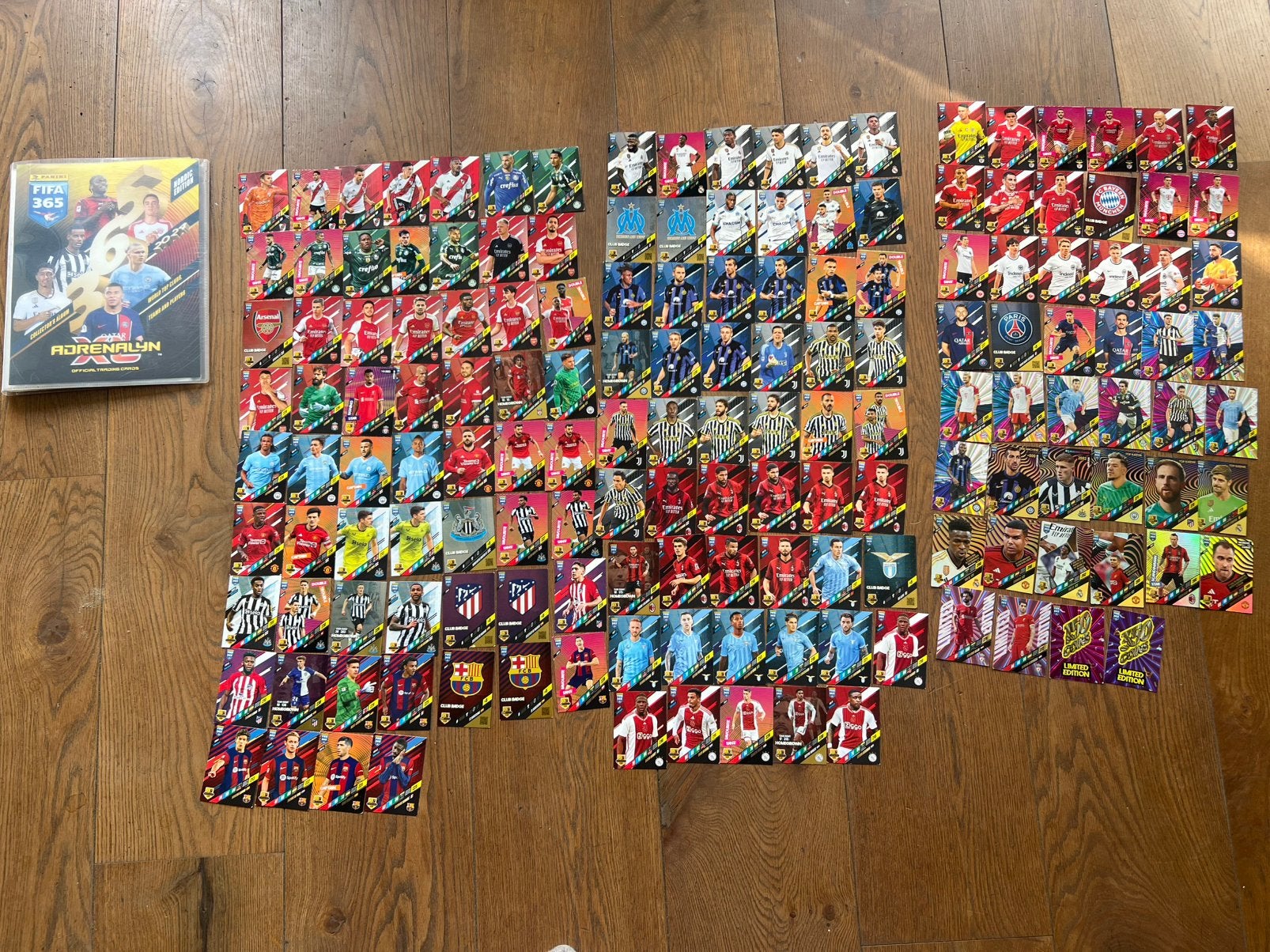 Fifa 365 panini voetbalkaarten 2024, Ophalen of Verzenden, Zo goed als nieuw, Meerdere kaarten