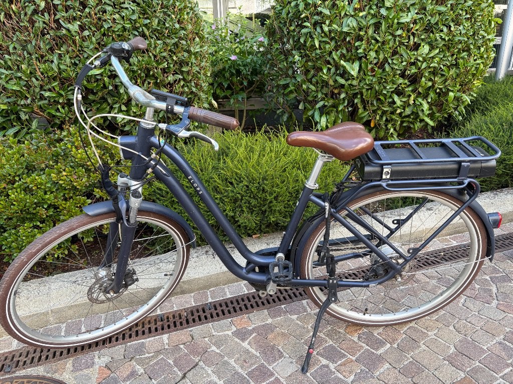 Electrische fiets, Fietsen en Brommers, Fietsen | Dames | Damesfietsen, Gebruikt, 47 tot 50 cm, Versnellingen, Ophalen