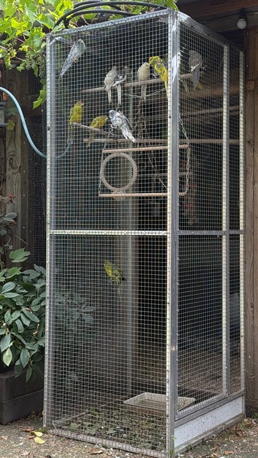 GEZOCHT   Gaaspanelen, Ophalen, Zo goed als nieuw, Aluminium, Vogelkooi