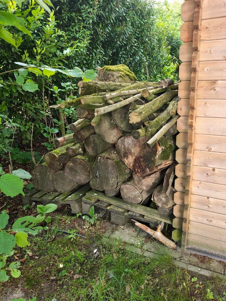 Haardhout, Minder dan 3 m³, Ophalen of Verzenden