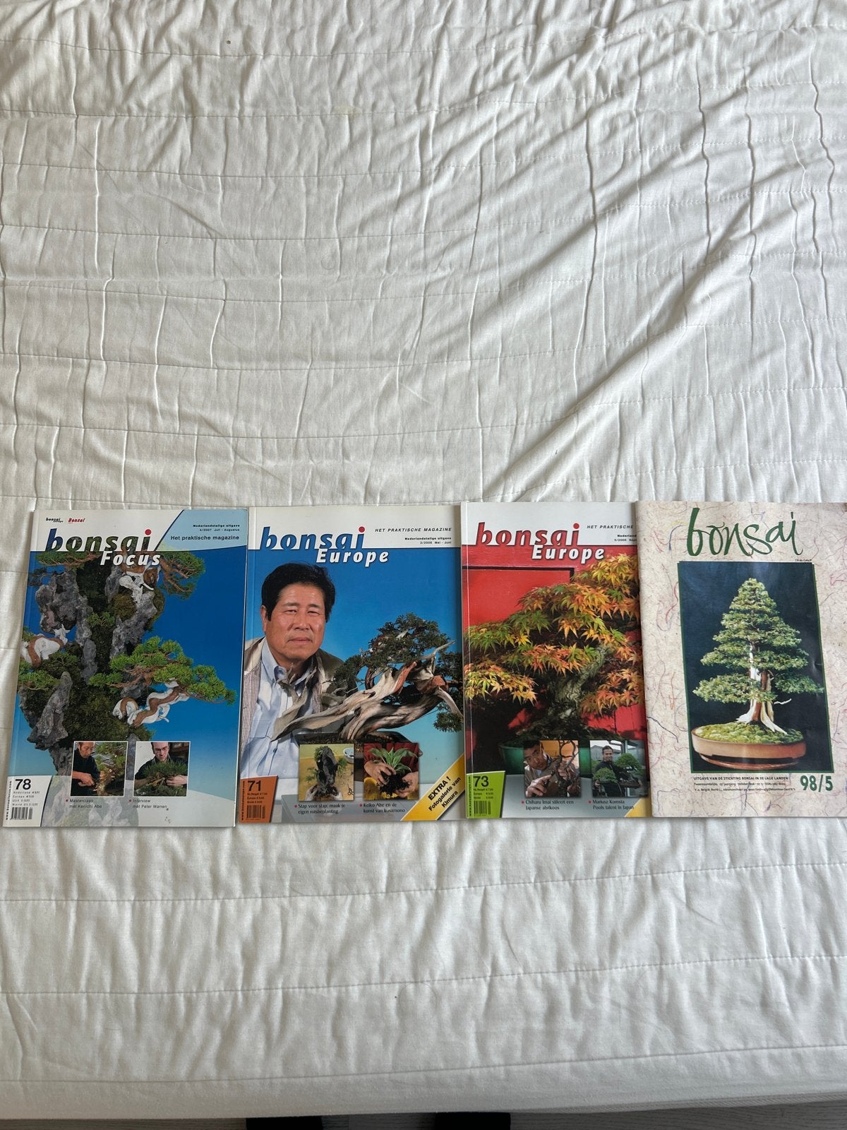 4 Bonsai tijdschriften - Bonsai Europe & Focus, Ophalen of Verzenden, Gelezen, Overige typen