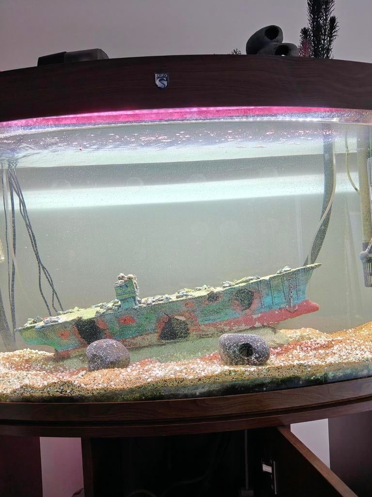 Aquarium 180L, Ophalen, Inclusief deksel, Gebruikt, Leeg aquarium