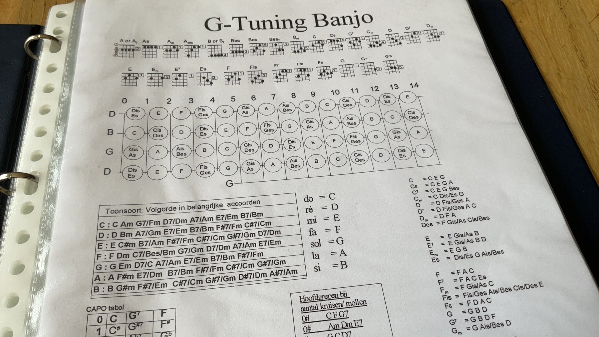 Cursus BANJO SPELEN MET ACCOORDEN SCHEMA’S, Muziek en Instrumenten, Snaarinstrumenten | Banjo's, Ophalen of Verzenden, Gebruikt