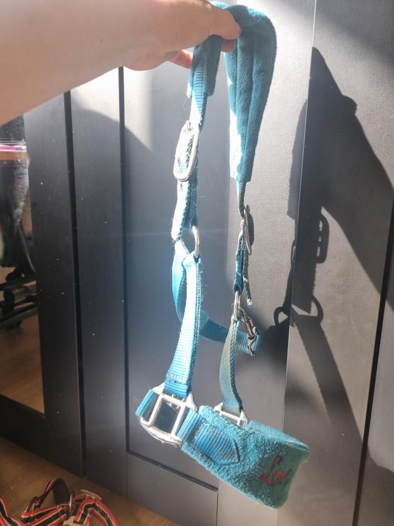 Pony halster, Ophalen, Gebruikt, Overige soorten