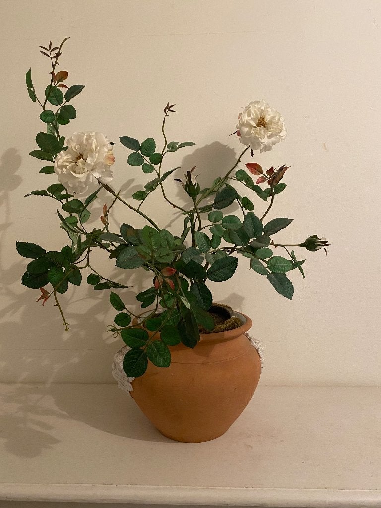 Prachtige roomkleurige zijden kunstroos in terracottapot, Ophalen, Binnen, 40 cm, Gebruikt