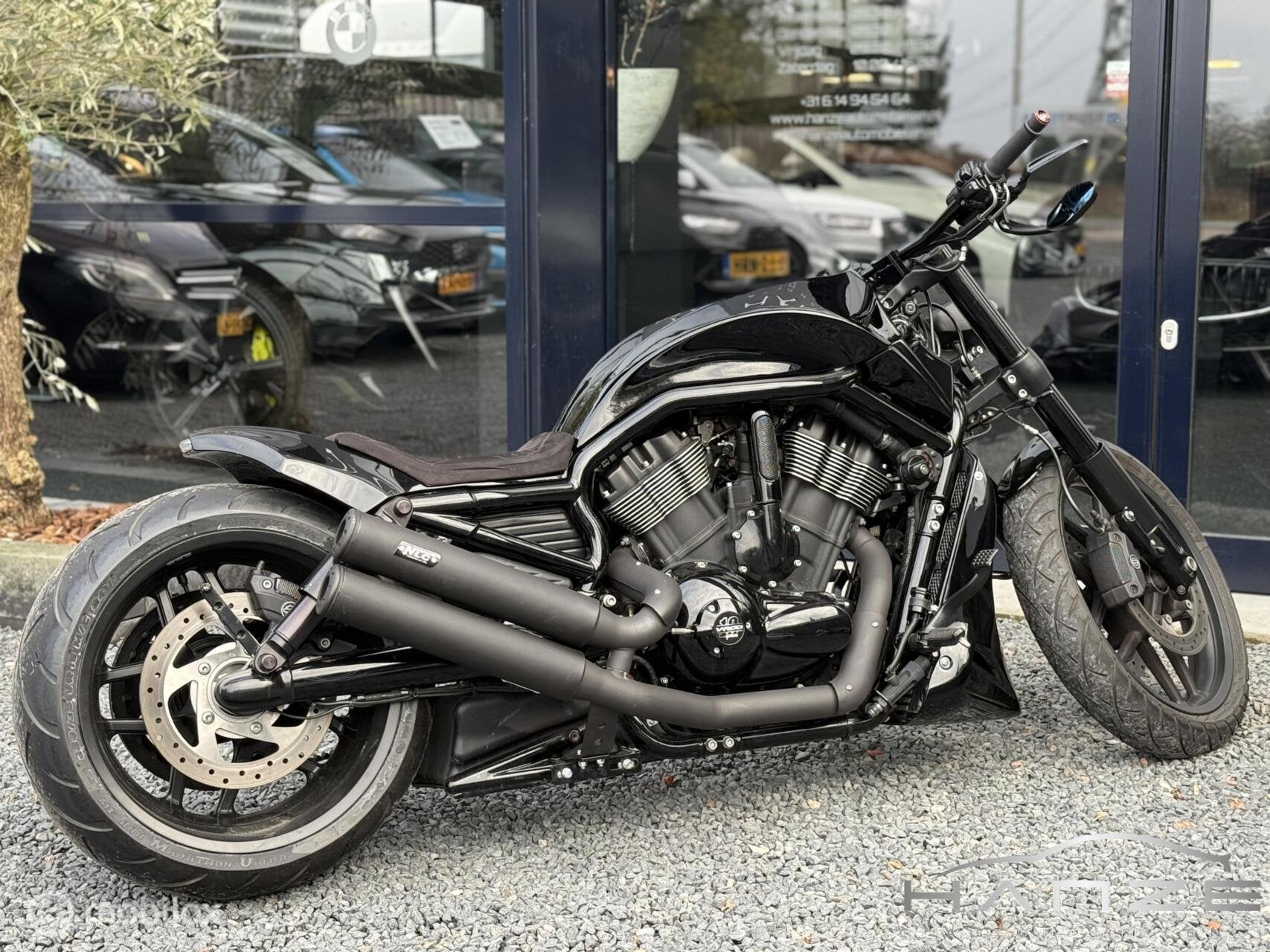 Harley Davidson VRSCDX Night-Rod Special|AirRide|Thunderbike, Motoren, Motoren | Harley-Davidson, Chopper, Bedrijf, Meer dan 35 kW