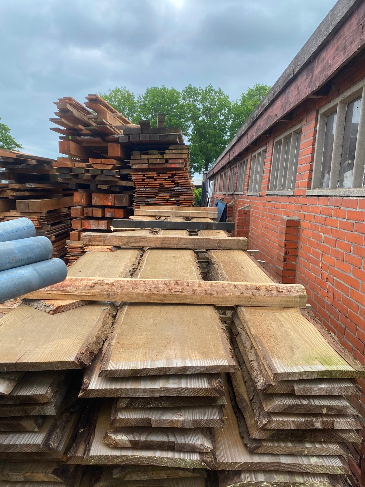 Lariks Schaaldelen Geïmpregneerd - Duurzaam Hout voor Buiten, Geïmpregneerd, 25 tot 50 mm, Nieuw, Ophalen of Verzenden