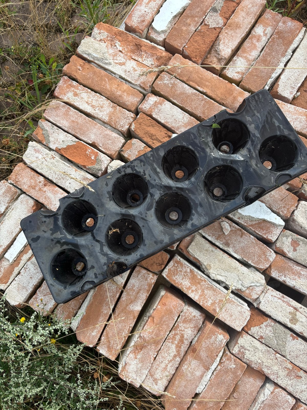 400 Aardbeien Trays - Gebruikt maar Functioneel, Ophalen, Kunststof, Gebruikt, Minder dan 30 cm