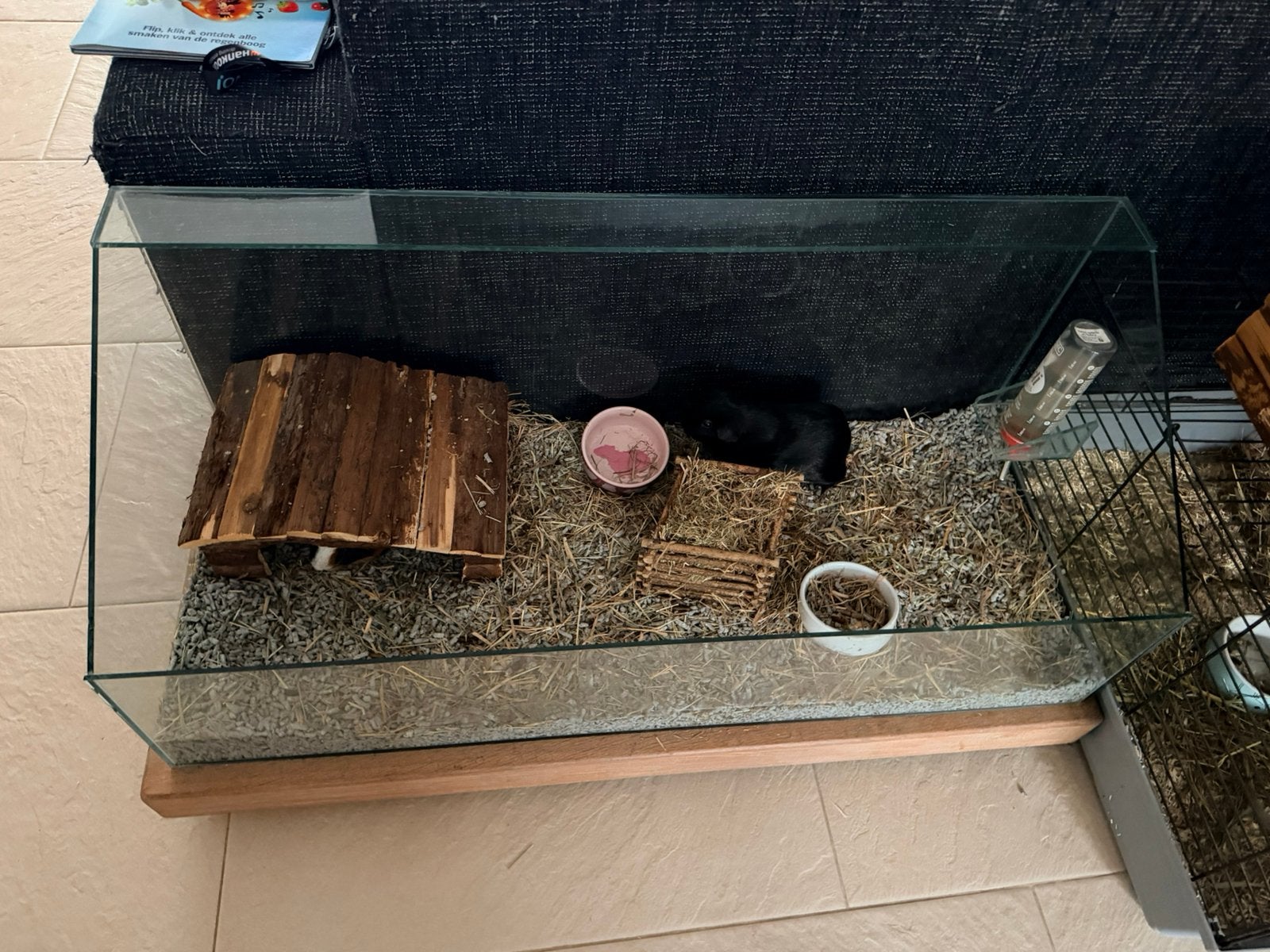Cavia verblijf, op maat gemaakt van glas, Gebruikt, Hok, 75 tot 110 cm, Cavia