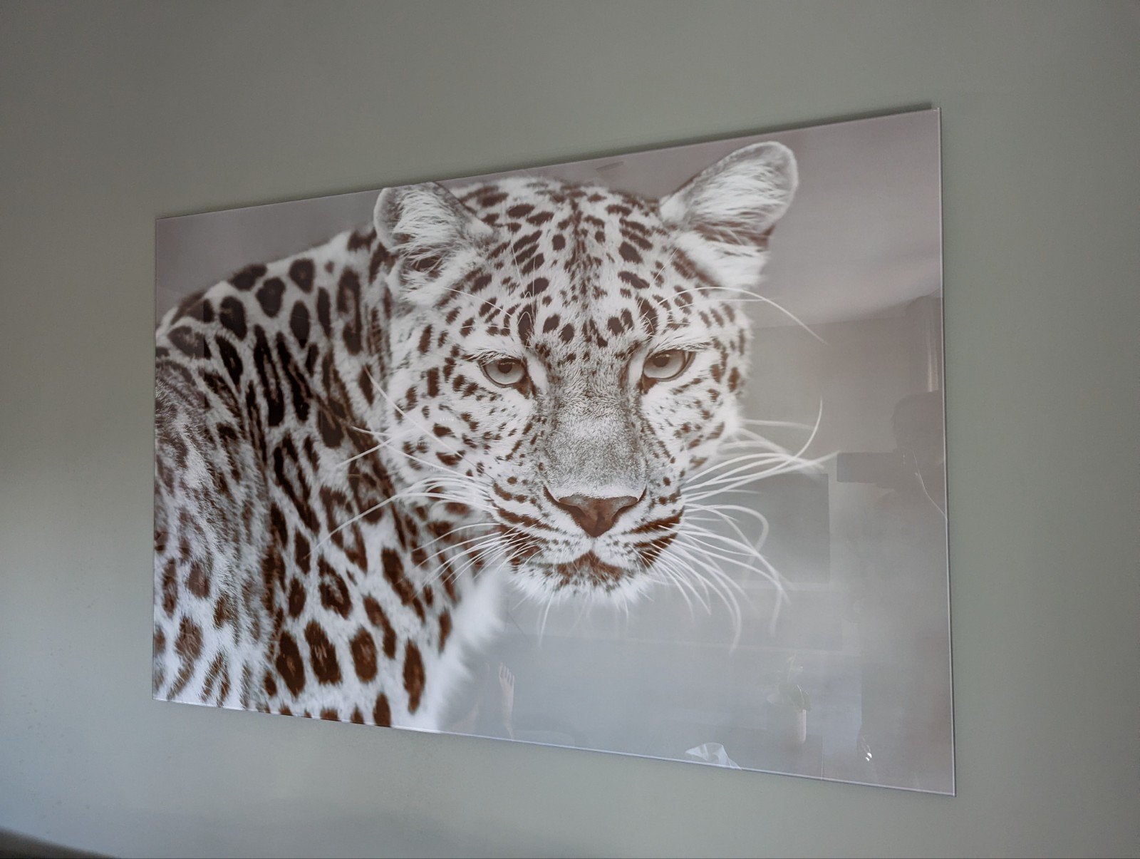 Glasplaat Panter / Panter op glas, Antiek en Kunst, Kunst | Schilderijen | Modern, Ophalen, Glas, Dieren