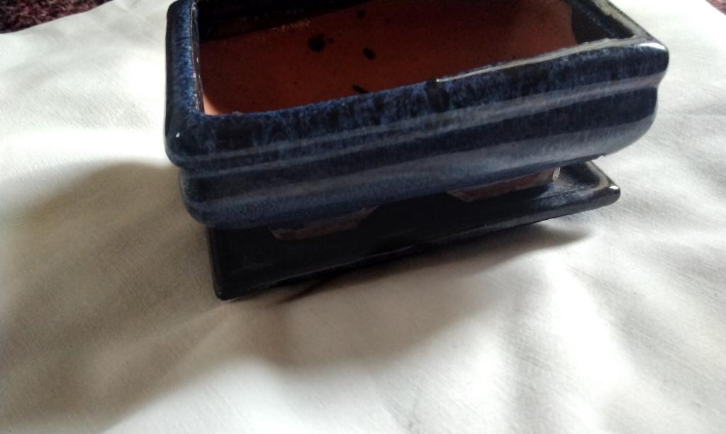 Bonsai Set Pot Onder Schotel Blauw geglazuurd 14x9x4cm Lees, Ophalen, Bloeit niet, Halfschaduw, Overige soorten