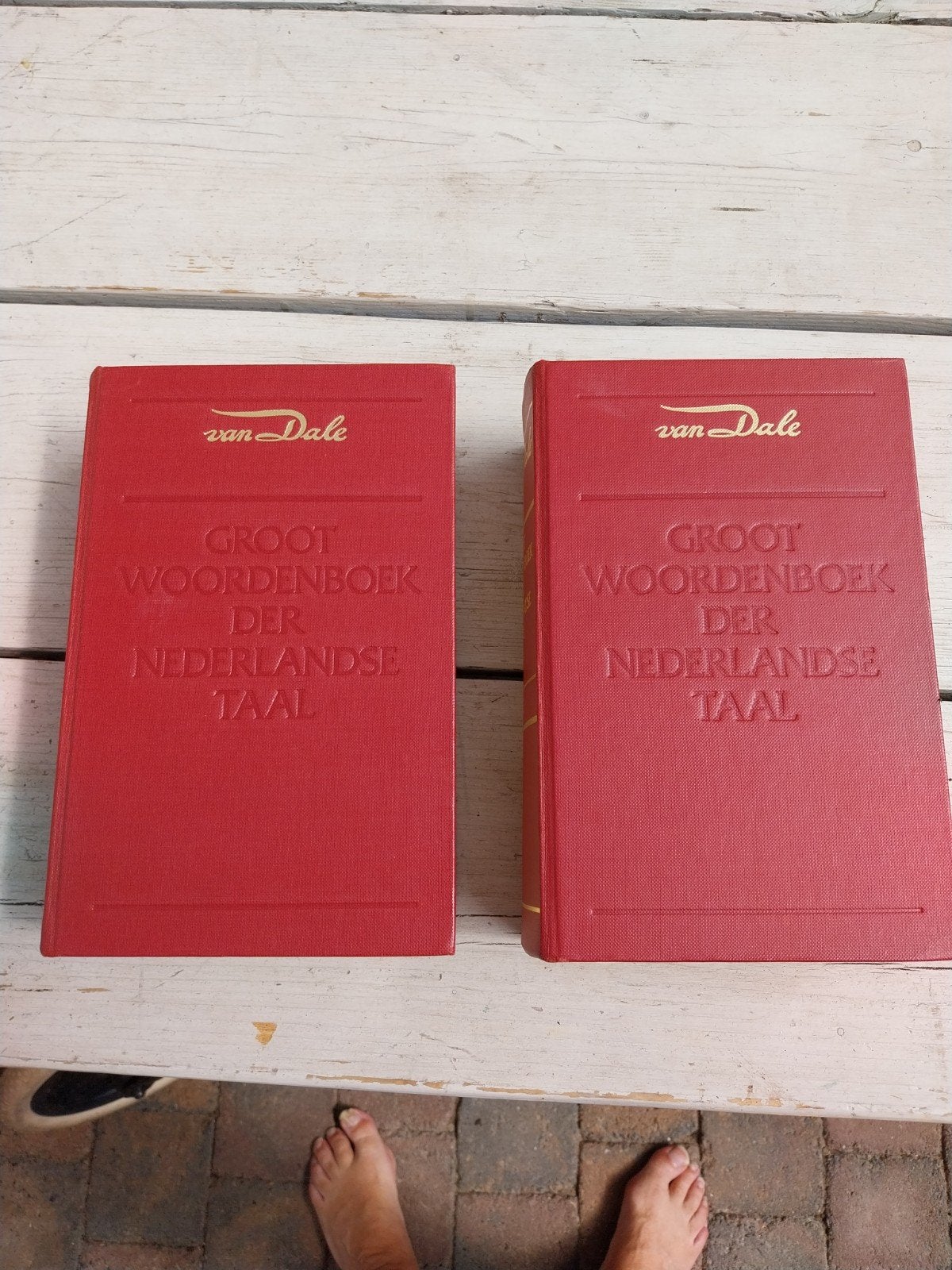 Van Dale Groot Woordenboek der Nederlandse Taal (2 delen), Boeken, Ophalen of Verzenden