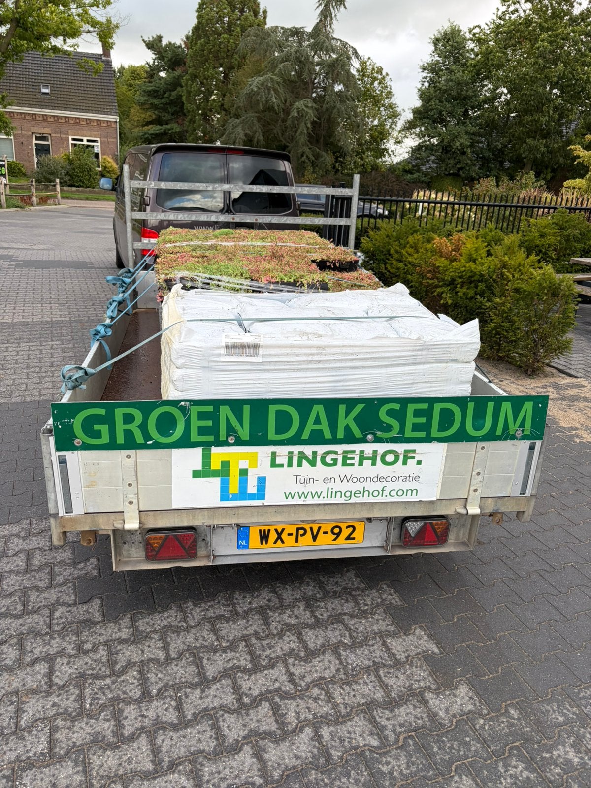 Groendak sedum van 1 mat of 1 cassette tot …..