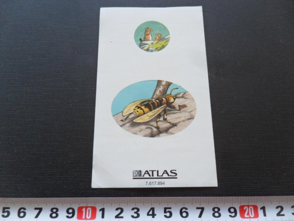 sticker set ATLAS 7.617.894 strip marmot wesp, Verzamelen, Stickers, Zo goed als nieuw, Ophalen
