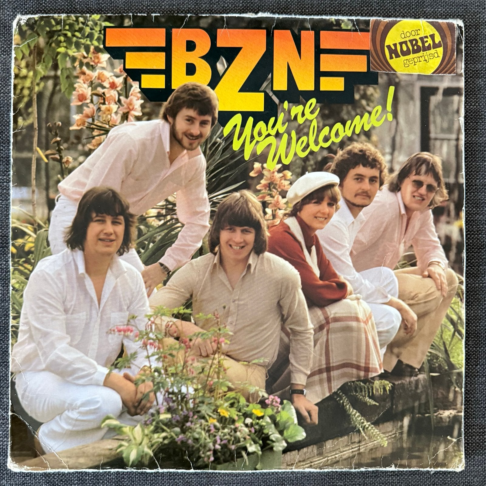 14 diverse elpees - Pop, Rock, Cabaret en meer, Cd's en Dvd's, LP, Gebruikt, Pop, Ophalen of Verzenden