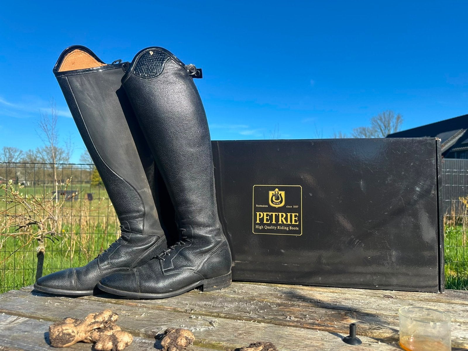 Petrie Luca dressuurlaarzen maat 41 kuit 37, Dieren en Toebehoren, Paardrijkleding, Ophalen, Zo goed als nieuw, Dressuur, Schoeisel