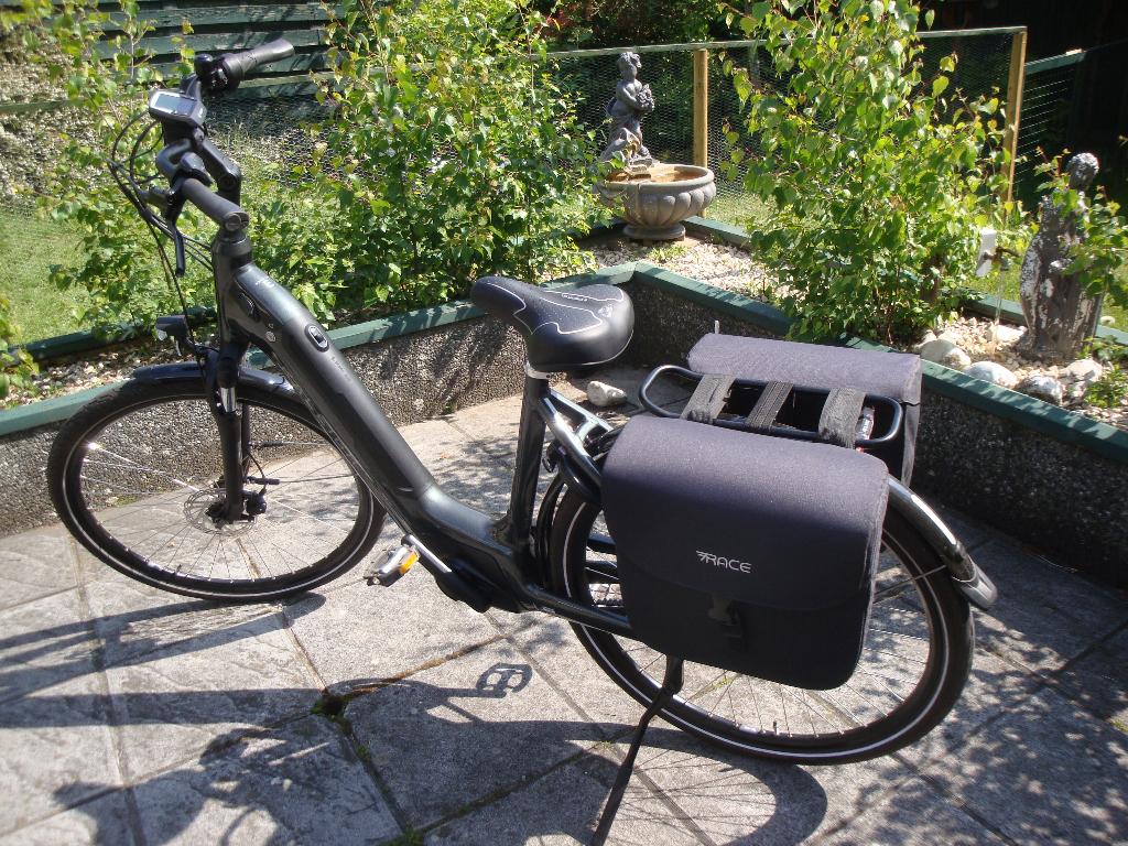 Te koop RALEIGH fiets, Fietsen en Brommers, Fietsen | Dames | Damesfietsen, Zo goed als nieuw, Overige merken, (Extra) lage instap