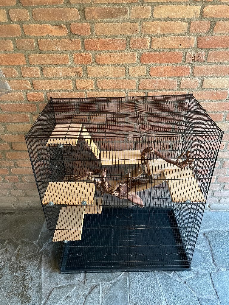 Rat cage and accesories, Ophalen, Gebruikt, Overige typen