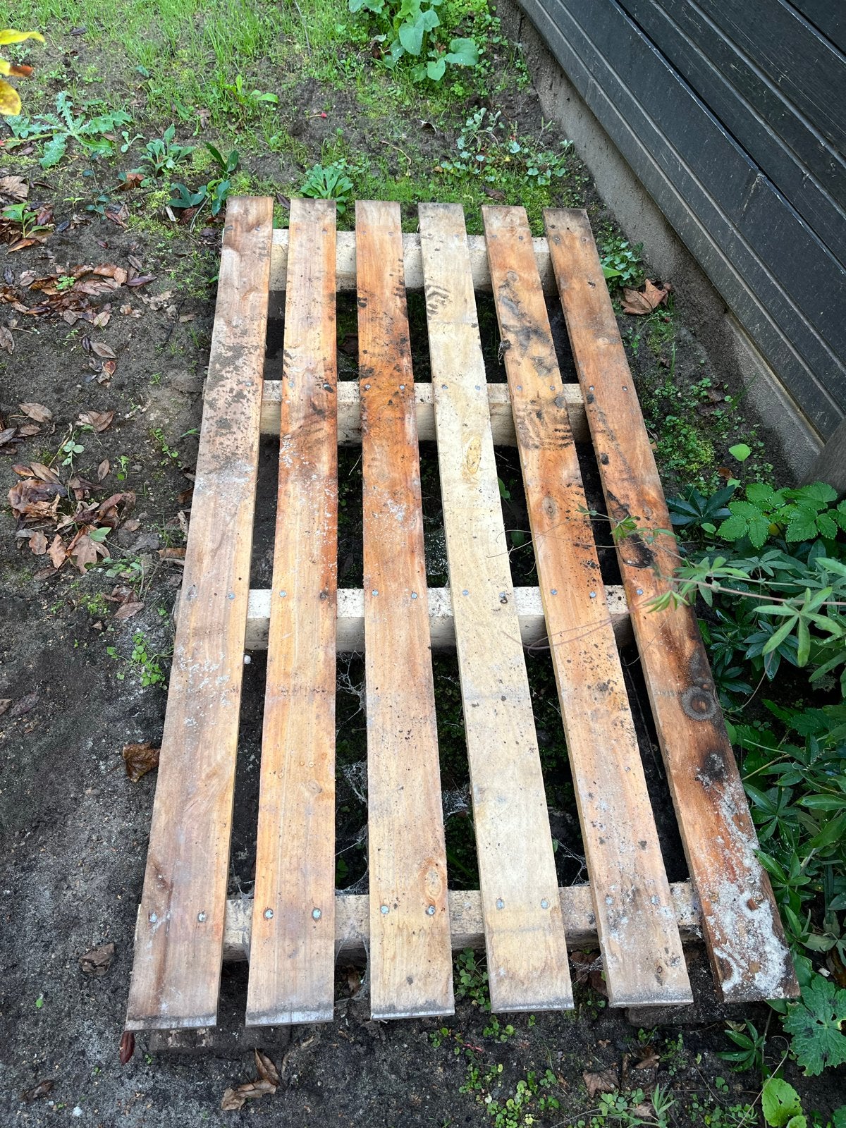 Gratis Pallet, Overige typen, Ophalen of Verzenden, 50 mm of meer, Minder dan 200 cm