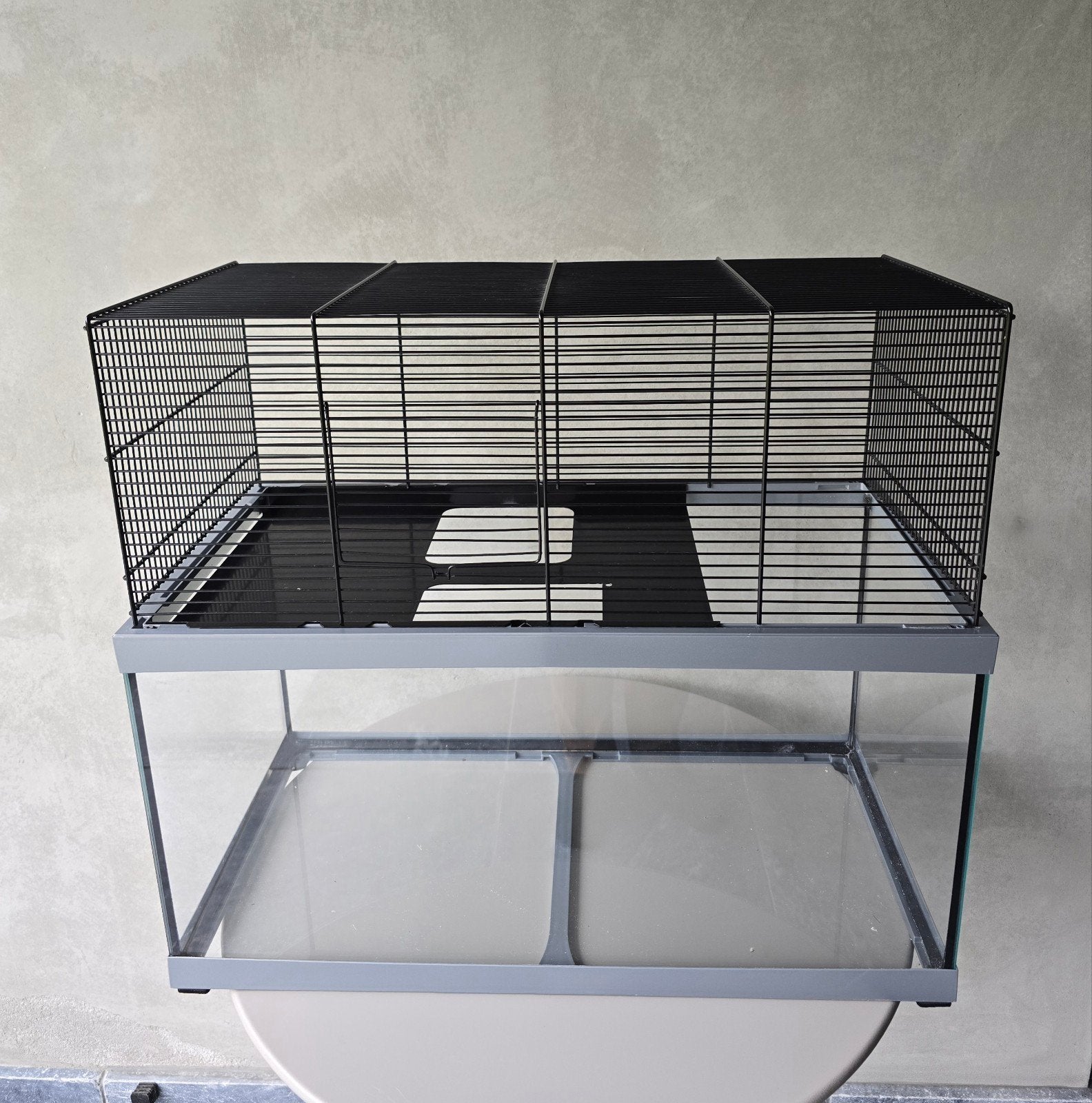 Glazen Hamsterkooi inclusief zie foto 3, 4 en 5, Kooi, Minder dan 75 cm, Zo goed als nieuw, Hamster