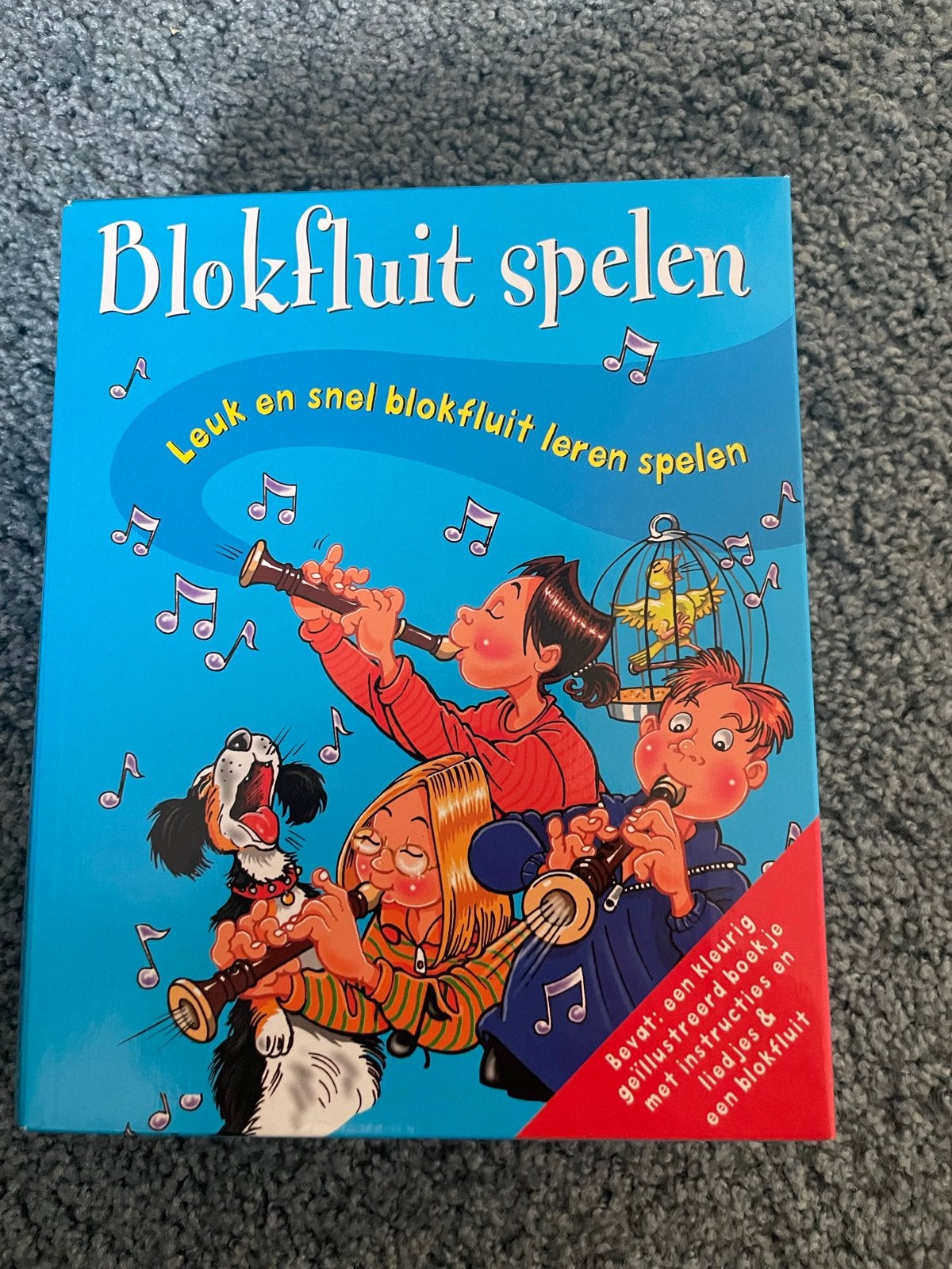 Blokfluit spelen - Leerboek met blokfluit, Verzenden, Zo goed als nieuw, Sopraan of Sopranino, Kunststof