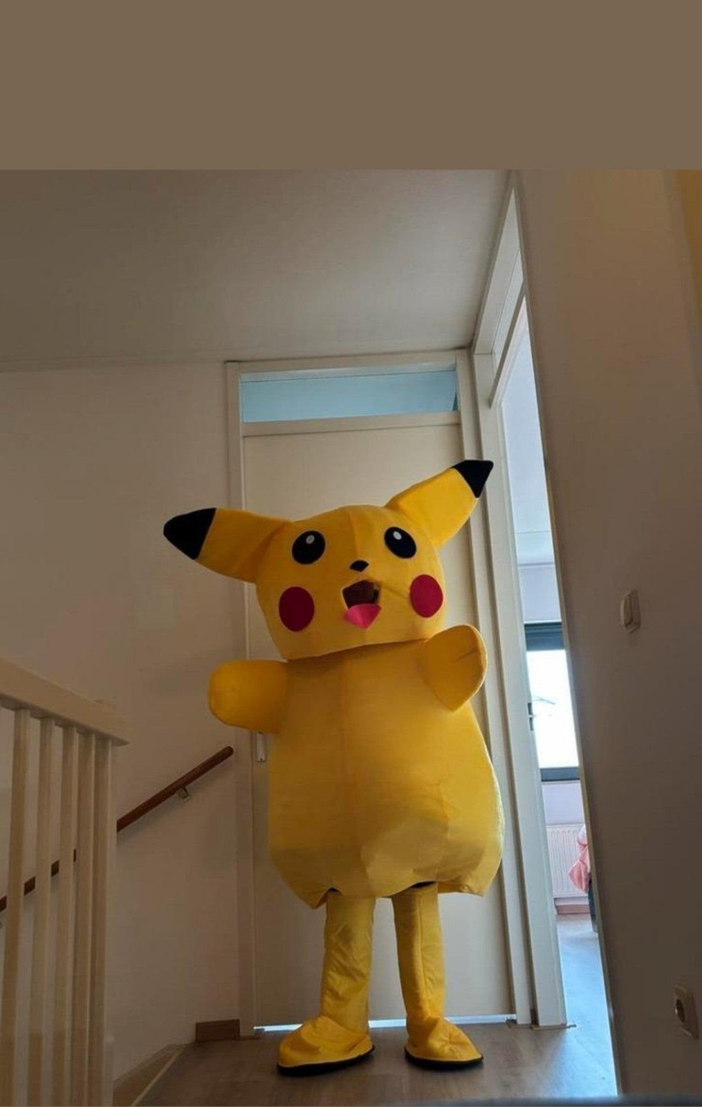Pikachu mascotte pak te koop of te huur, Ophalen of Verzenden