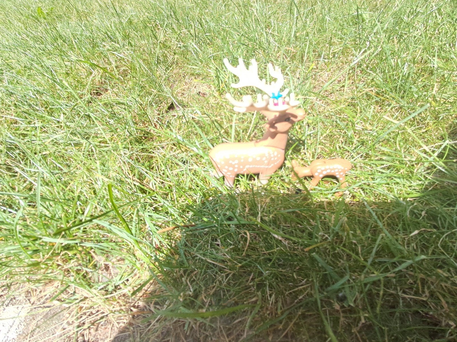 Playmobil bossetje, Ophalen, Zo goed als nieuw