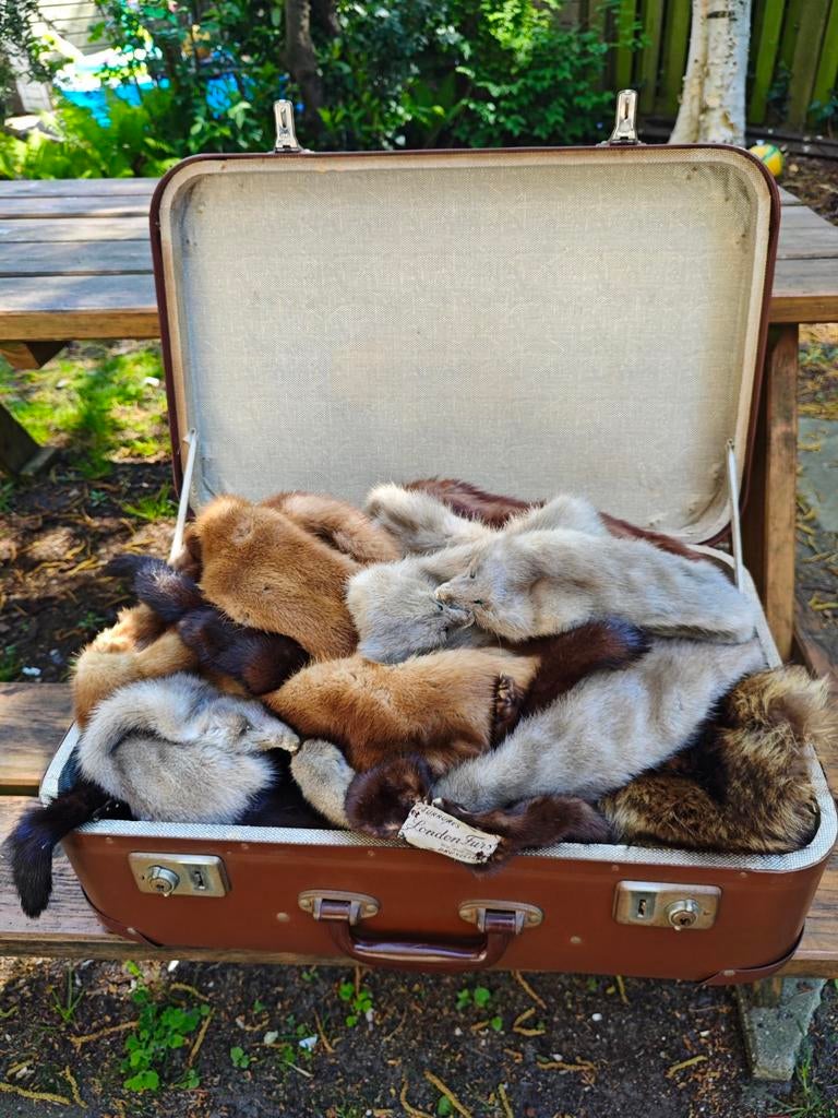 Nertsen bont, Ophalen of Verzenden