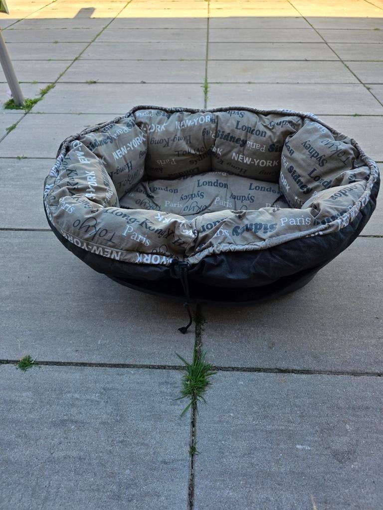 Honden mand, Dieren en Toebehoren, Ophalen