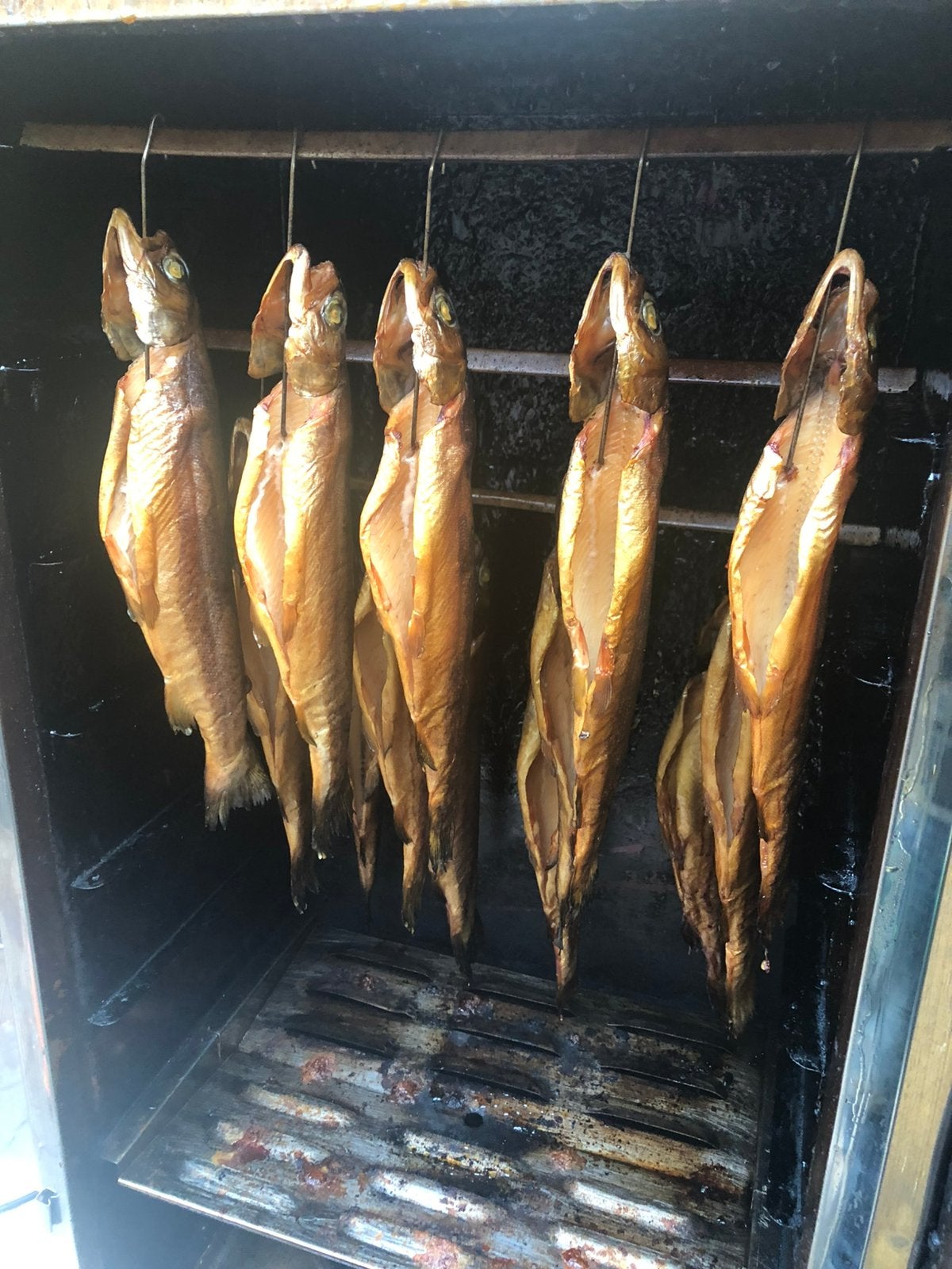 Gerookte Forel, Ophalen of Verzenden