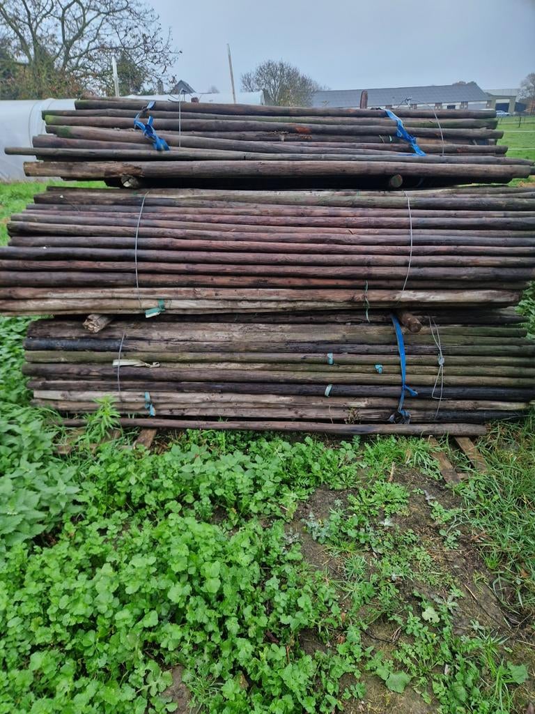 Fruitboompalen 2,5 meter lang, inclusief boomband, Ophalen, Gebruikt, 250 cm of meer, Palen