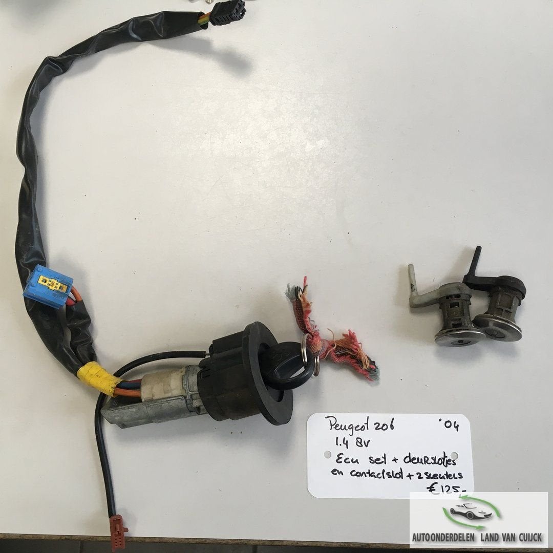 Peugeot 206 1.4 8v 2004   Ecu Set  , ECU , BSI , zekeringkas, Gebruikt, -, -, Ophalen of Verzenden