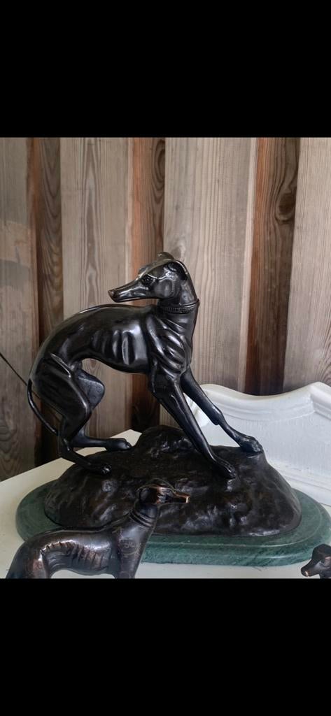 Windhonden beeld greyhound beeldeen, Ophalen