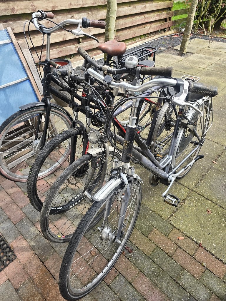 Fietsen Koga Merida Batavus Gazelle, Ophalen, Gebruikt