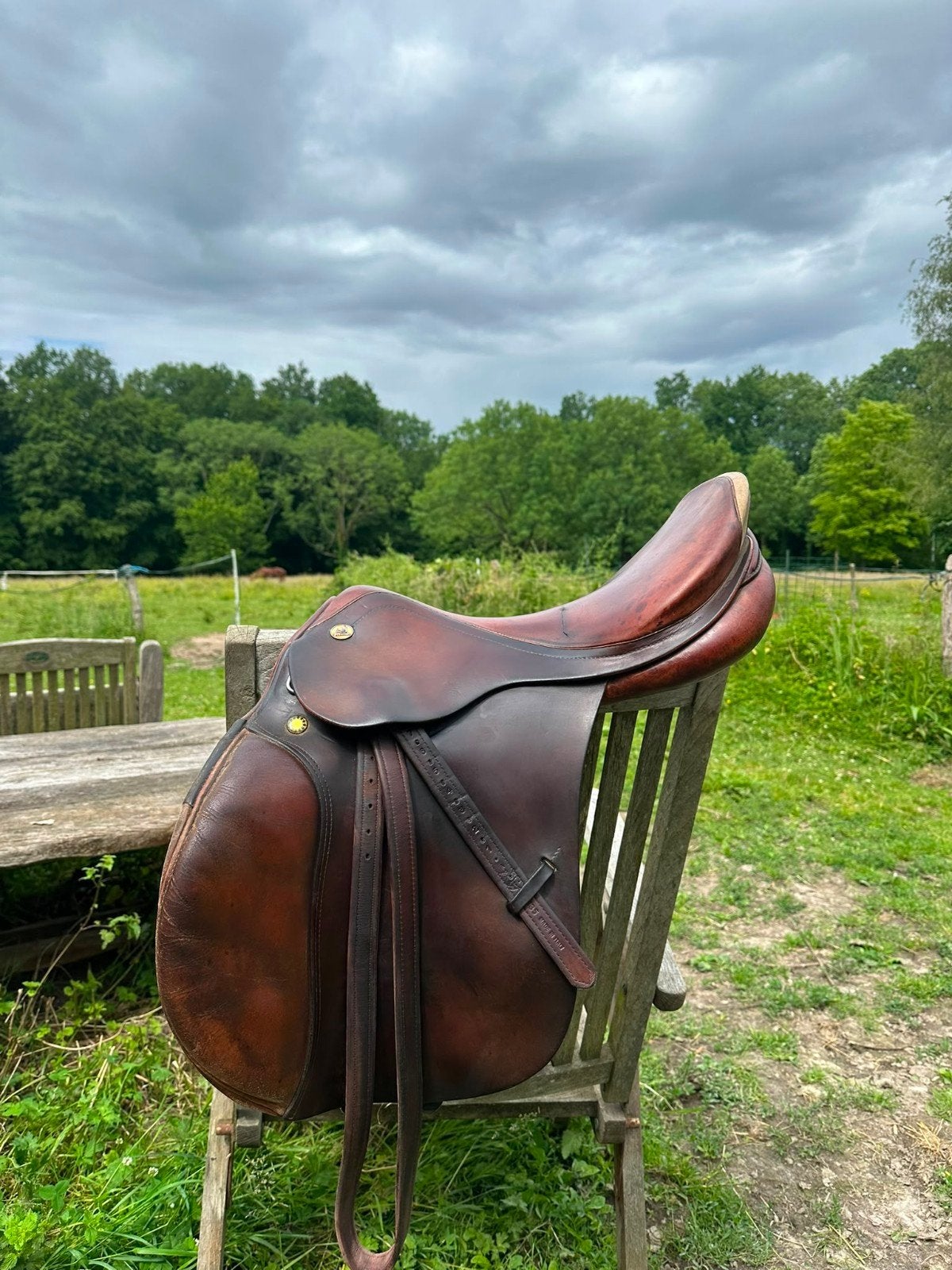 Prestige appaloosa springzadel, Dieren en Toebehoren, Ophalen, Springen